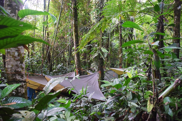 Peruaanse Amazone-regenwoud wandel- en raftinggids