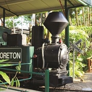 The Sunshine Coast: The Ginger Factory Play Taste & Discover