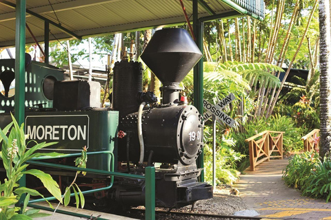 The Sunshine Coast: The Ginger Factory Play Taste & Discover