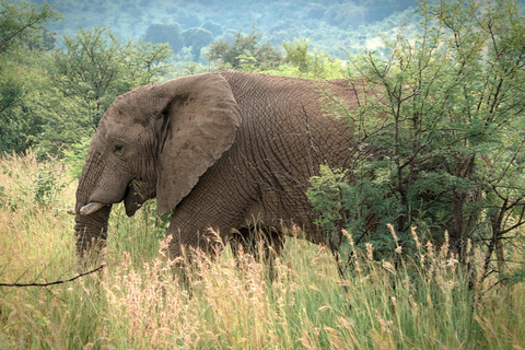 Bangui: Sangha River Expedition – 5-Day