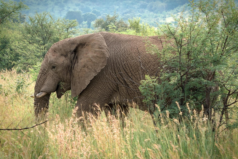 Bangui: Sangha River Expedition – 5-Day