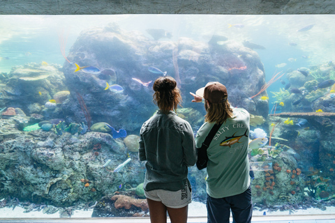 Acuario del Pacífico, LA: ticket sin colas en la taquilla