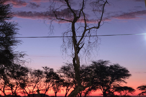 From Swakopmund: 2-Day Sossusvlei Scenic Journey (1 Night)