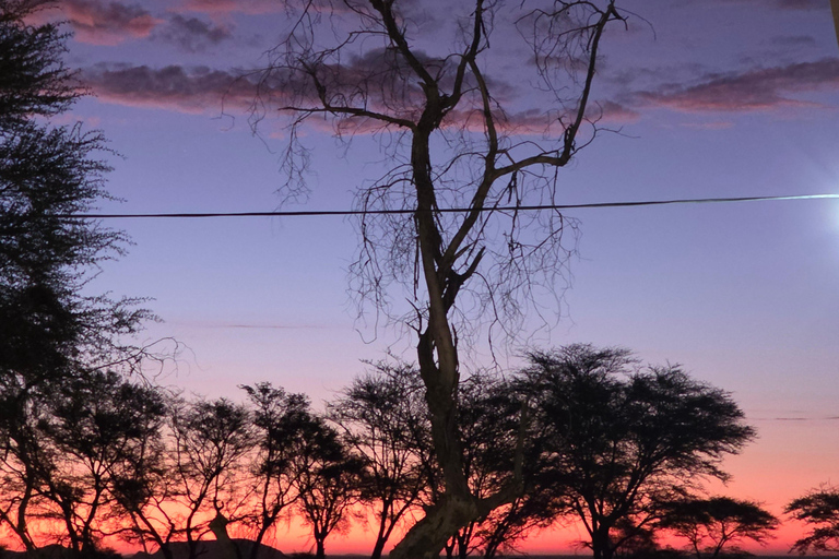 From Swakopmund: 2-Day Sossusvlei Scenic Journey (1 Night)