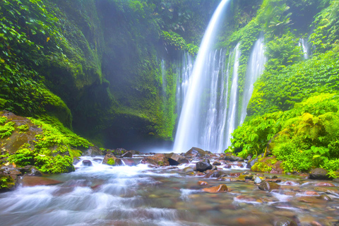 Lombok: Exclusieve Sendang Gile, Tiu Kelep &amp; Selong Hill TourPrivétour met lunch