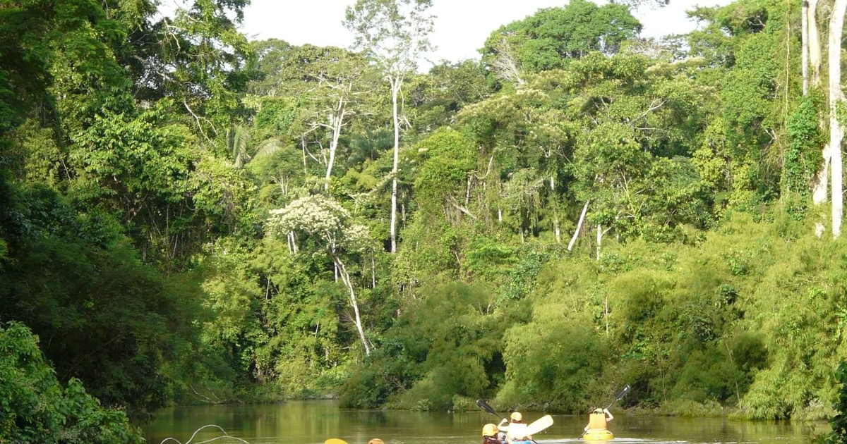 Puerto Maldonado: Kayak and Zip Line Adventure + Monkey Isla | GetYourGuide