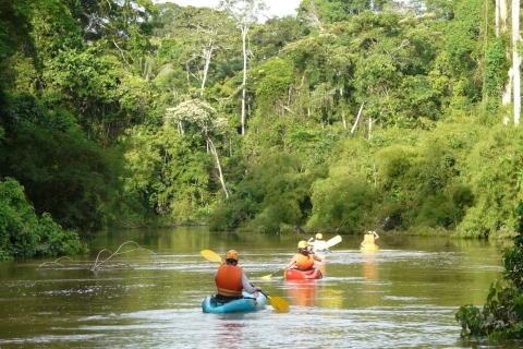 Puerto Maldonado : Aventure en kayak et tyrolienne + Monkey Isla
