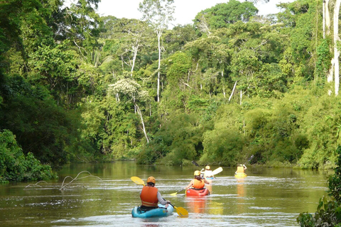 Aventura en kayak explorando desde Puerto Maldonado 4D