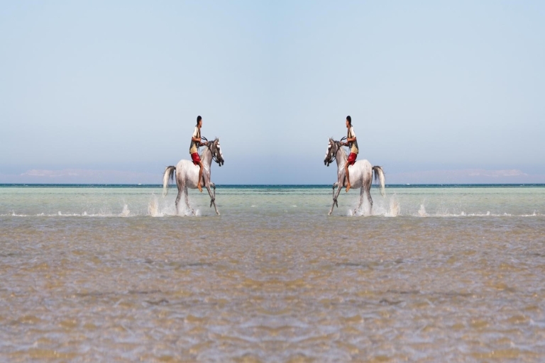 Hurghada : Randonnée à cheval le long de la mer et du désert avec transferts2 heures : Promenade à cheval le long de la mer et du désert avec transferts