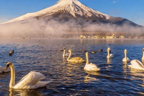 From Tokyo: Mount Fuji Full Day Customizable Private Tour