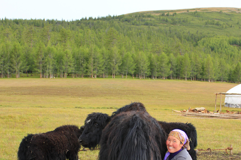 Excursion d&#039;une journée à Terelj avec déjeuner, équitation et plus...