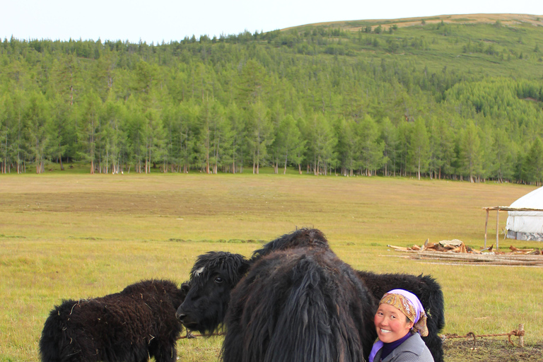 Excursion d&#039;une journée à Terelj avec déjeuner, équitation et plus...