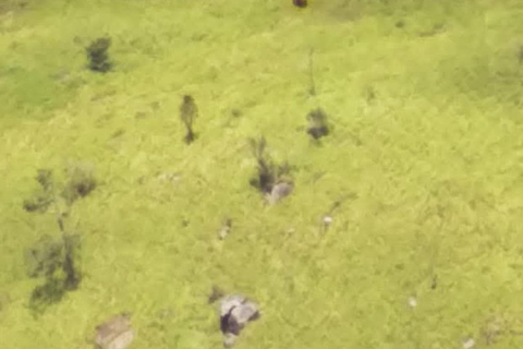 Kandy: Two-Day Yahangala & Little Everest Trek