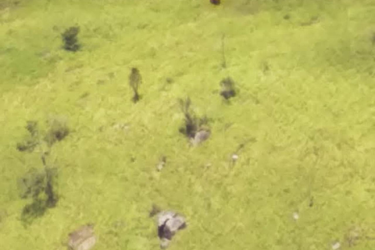 Kandy: Two-Day Yahangala & Little Everest Trek