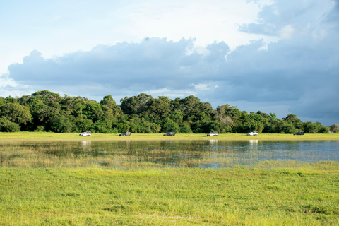 Sigiriya Rock Hike, Village Cookery Experience & Wild Safari