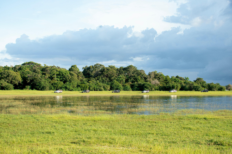 Sigiriya Rock Hike, Village Cookery Experience & Wild Safari