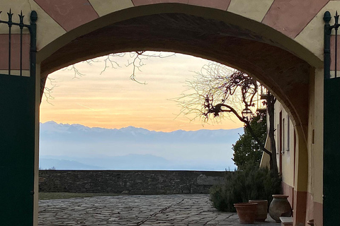 Langhe: Visit to the Vineyard and Historic Cellars with Tasting Langhe: Visit to the Vineyard and Historic Cellars with Wine Tasting