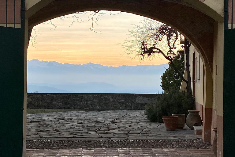 Langhe: Visit to the Vineyard and Historic Cellars with Tasting Langhe: Visit to the Vineyard and Historic Cellars with Wine Tasting