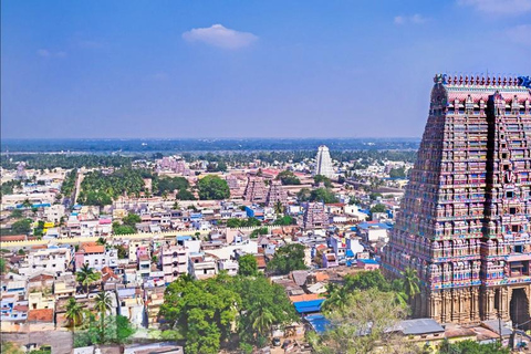 From Chennai: 6-Day Tamil Nadu Temple Tour with Guide