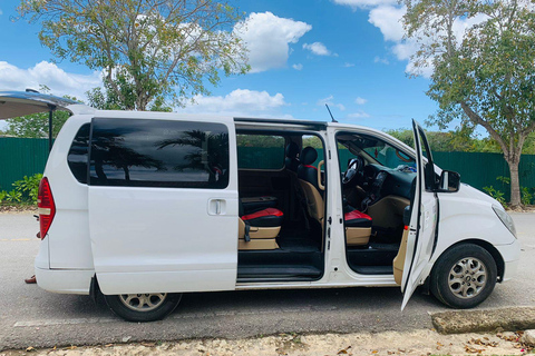 Traslado al aeropuerto privado: Aeropuerto de Punta Cana a Hotel