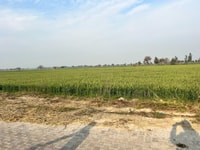 Experience the real India , Once in a lifetime village tour - Housity
