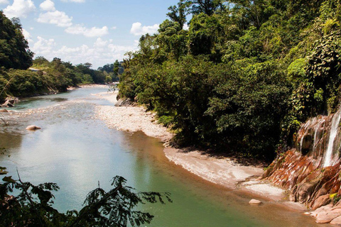 Wildlife Wonderland - Tarapoto's Alto Mayo Reserve