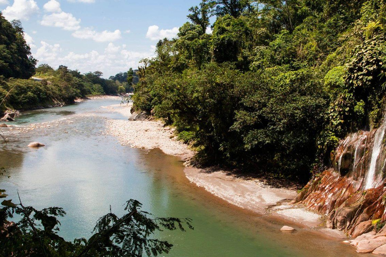 El País de las Maravillas de la Fauna - Reserva Alto Mayo de Tarapoto