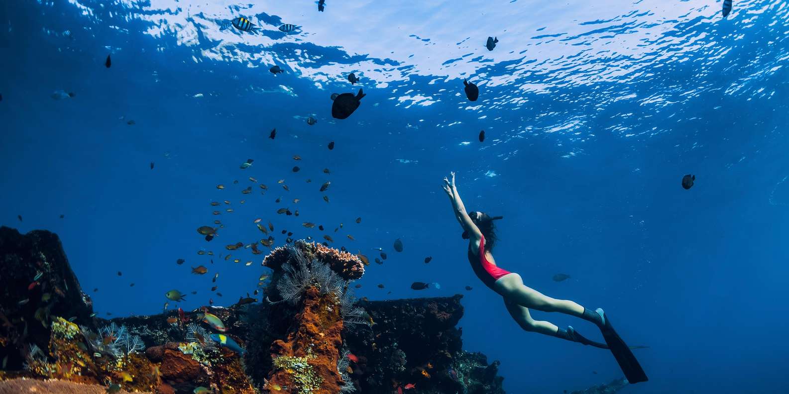 Bali/Nusa Penida: Manta Point Snorkel Boat & West Coast Tour