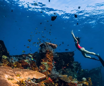 Bali/Nusa Penida: Tour in barca per lo snorkeling di Manta Point e costa occidentale