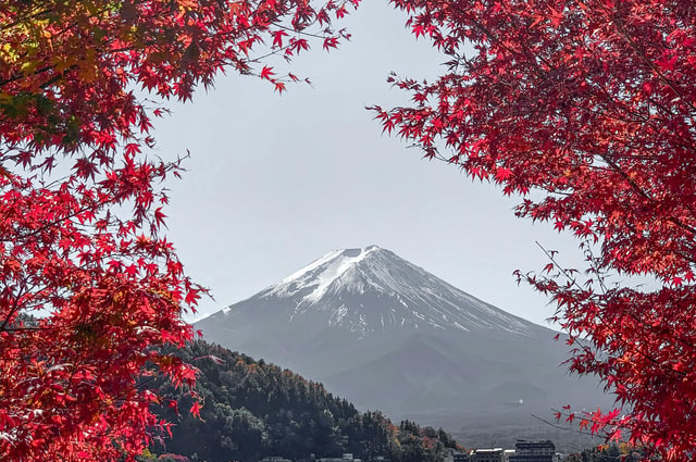 Mount Fuji,Lake Kawaguchiko Private Tour By Car With Pick Up