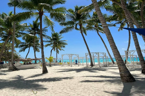 Punta Cana: Saona Island Speedboat Tour with Lunch