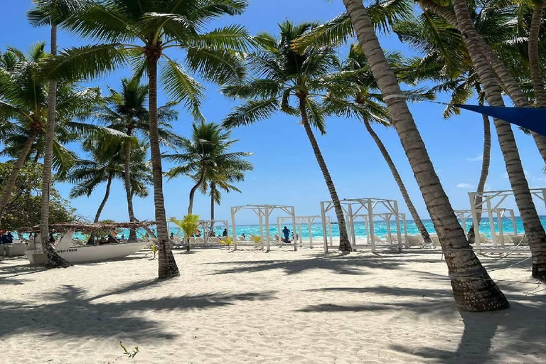 Punta Cana: Saona Island Speedboat Tour with Lunch