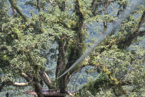 San Jose: Zipline + Canyoning + Transportation + Lunch Combo