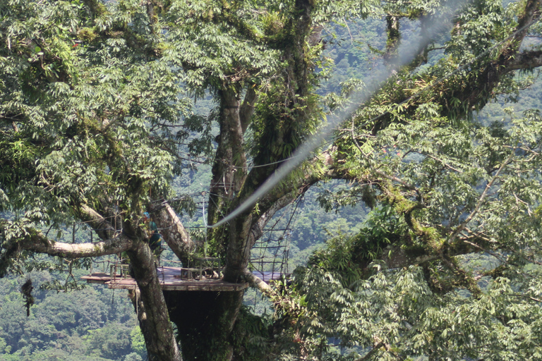 San Jose: Zipline + Canyoning + Transportation + Lunch Combo
