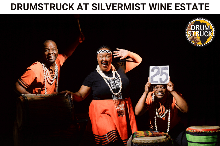 Le Cap : dégustation de vins au domaine Silvermist et spectacle DrumstruckLe Cap : Dégustation de vins au domaine Silvermist et spectacle Drumstruck