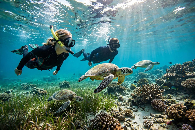 Coron - Busuanga: Dugong & Turtle Snorkeling Tour with Lunch Private Tour