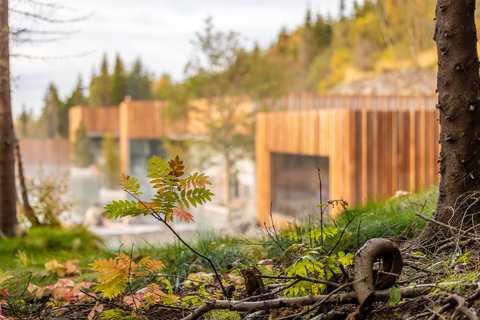 Akureyri: Biglietto d&#039;ingresso per la laguna della foresta