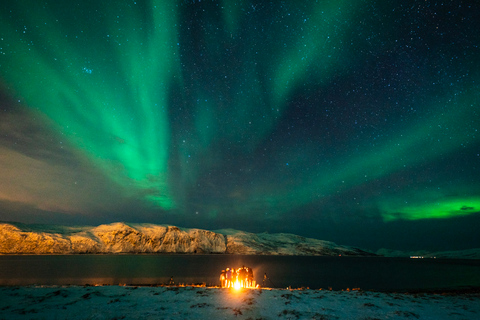 Tromso: Northern Lights Chase per bus in ENG, FR of ESNoorderlichttour met Franstalige gids