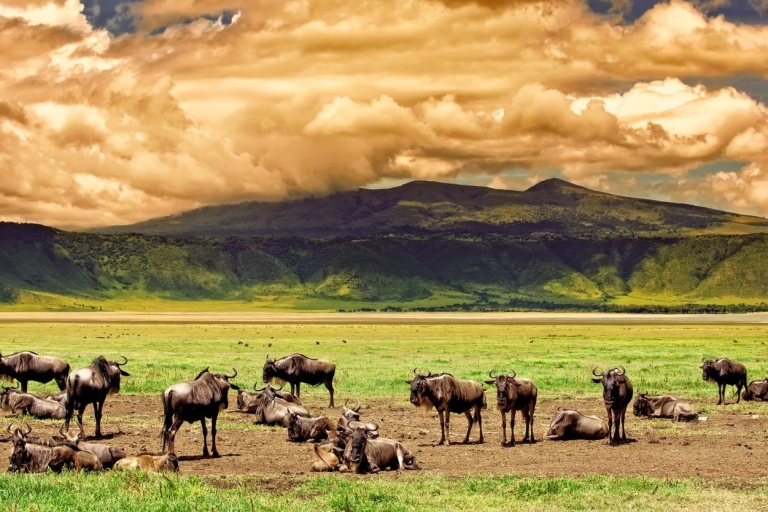 Safari de 2 días por el Lago Manyara y el Cráter del Ngorongoro en 4x42 Días - Safari por el Lago Manyara y el Cráter del Ngorongoro