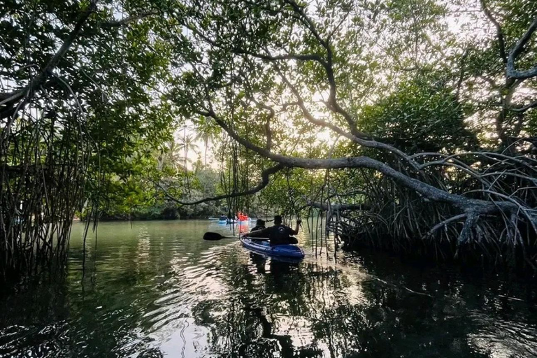 Bentota: Guided River Kayaking Tour with Refreshments