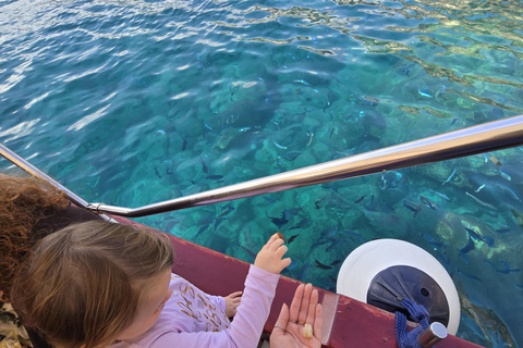 陶尔米纳市中心和游船之旅：贝拉岛和蓝洞小团（每团最少8人，最多16人）