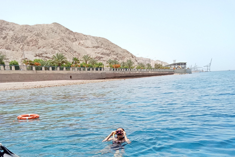 Amman: Dead Sea, Lot's Wife, & Blue Mosque Tour with Lunch Dead Sea only