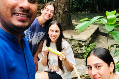 Kandy: Dambulla, Pidurangala Rock, and Cooking Day Trip Sri Lanka : Kandy, Rice Field, Golde Buddha, Village Lunch .