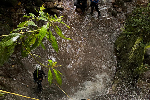 ميديلين: جولة نصف يوم للنزول إلى الشلالات الرائعة.