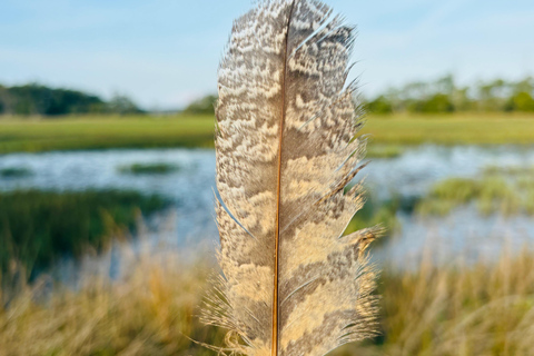 Charleston: Sunrise Marsh Ecotour Boat Charter