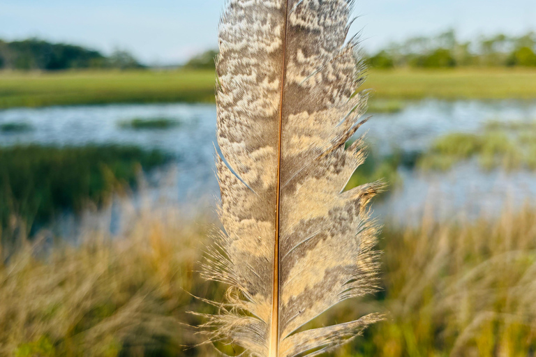 Charleston: Sunrise Marsh Ecotour Boat Charter