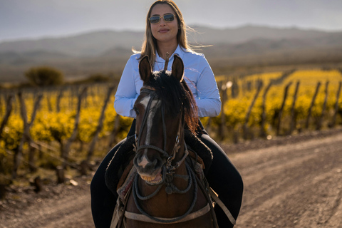 Sedona: Golden Hour Horseback Ride in Vineyard Landscape