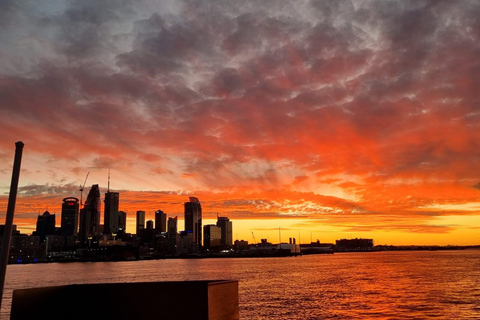 Auckland: crociera notturna con stuzzichini e drink