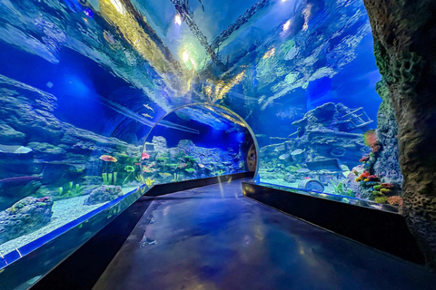 1 Day Jakarta Tour Attractions