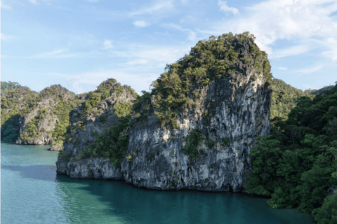 Langkawi: Mangrove Cruise with Eagle Feeding & Beach Swim 3 Hour estimated Mangrove+Beach Swim
